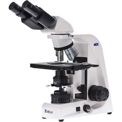 BioMatLab elaborat 4