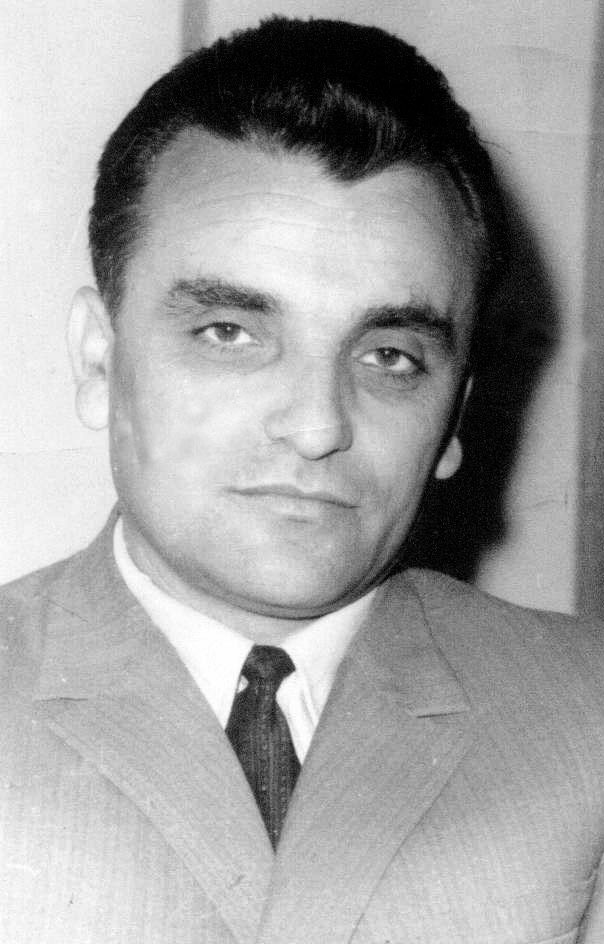 branislav devedzic