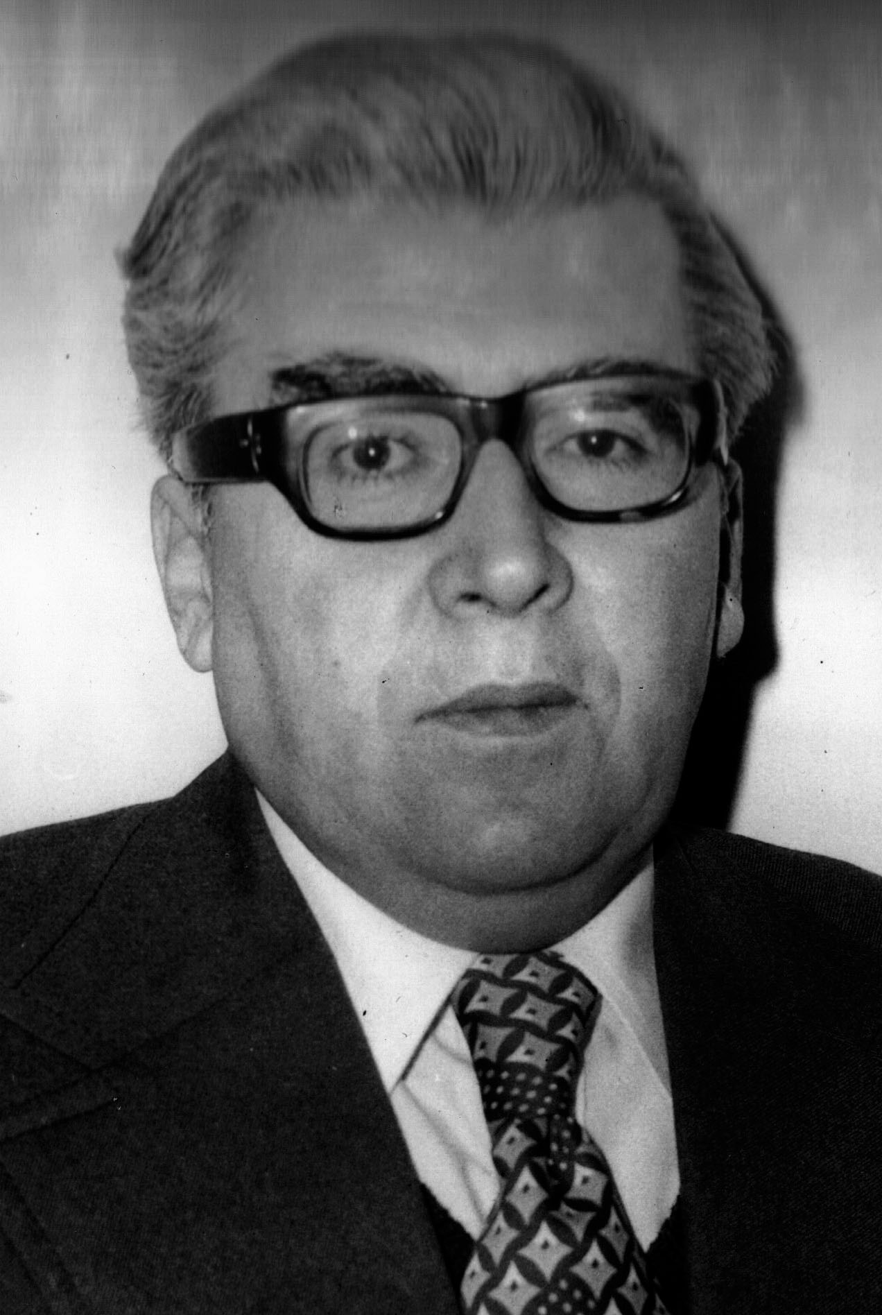 radomir ljubisavljevic